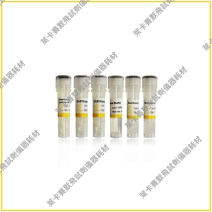 用于qPCR的UnionScript第一链cDNA合成预混液(含dsDNase)快速高效