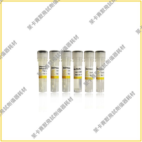 用于qPCR的UnionScript第一链cDNA合成预混液(含dsDNase)快速高效