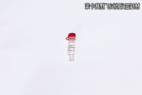 BIOG逆转录酶,对RNA模板更高亲和力,检测低至1pg总RNA中目标片段