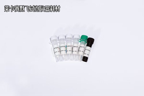 BIOGᴴˢᒼUDG多重探针法荧光定量PCR试剂盒(防污染系统)高特异性