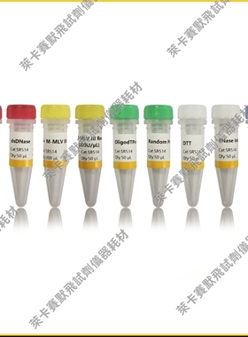 UnionScript第一链cDNA合成试剂盒(含dsDNase) 适用RNA模板/PCR