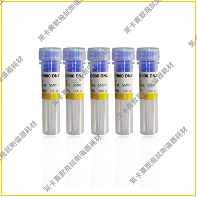 DL2000 DNA Marker，DL5000 DNA Marker 独特研发技术，带型清晰