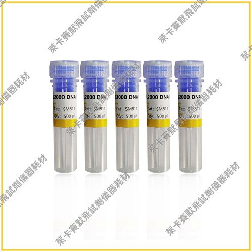DL2000 DNA Marker，DL5000 DNA Marker 独特研发技术，带型清晰