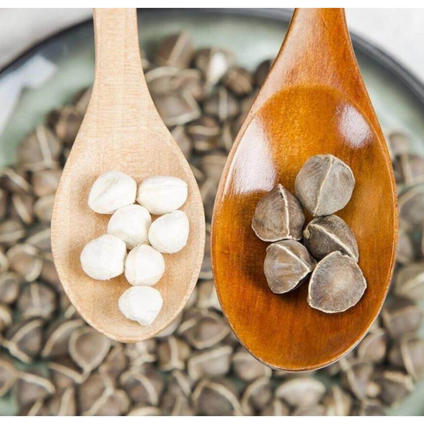 辣木籽脱壳果仁子500木g印度质引种辣果仁正品原生大颗粒NMX好量