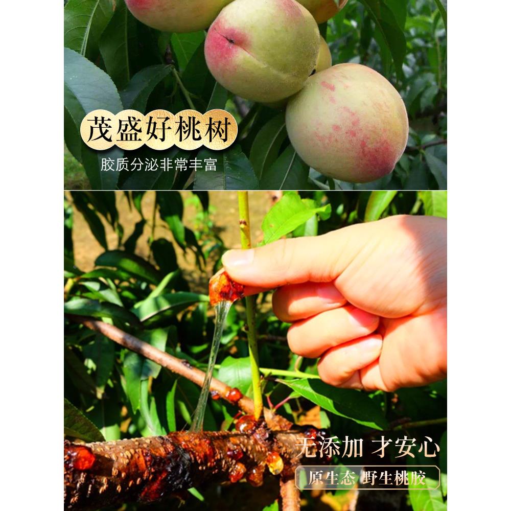 娘子一号三胶CER老组合小装树桃包胶雪燕皂苷米组合独西立野生天