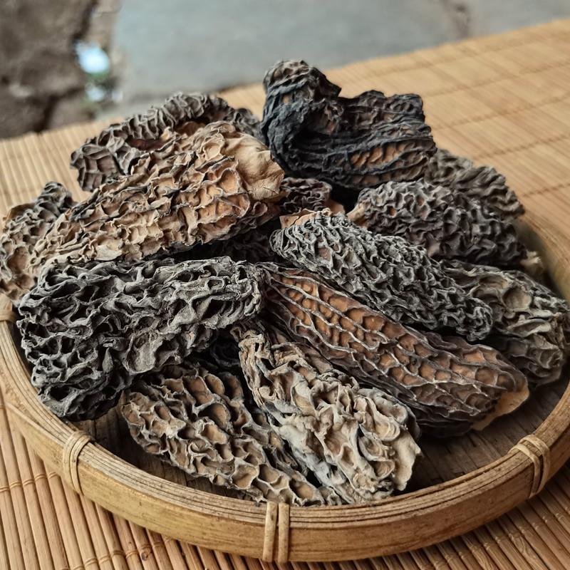 野生肚羊菌SDG大个干货全剪格柄五公分以上云南香里拉土产特蘑菇