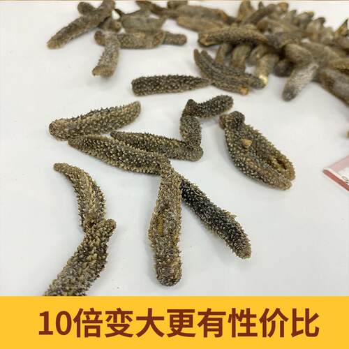 海参干货即食好海参吃的网红火锅材食美食海参干货大连野IXH生海