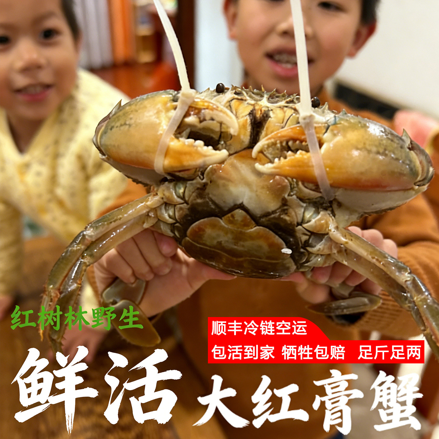 鲜活大红膏蟹青蟹处仔蟹公肉蟹红树林野生特大红鲟蝤蠓母羔蟹奄仔