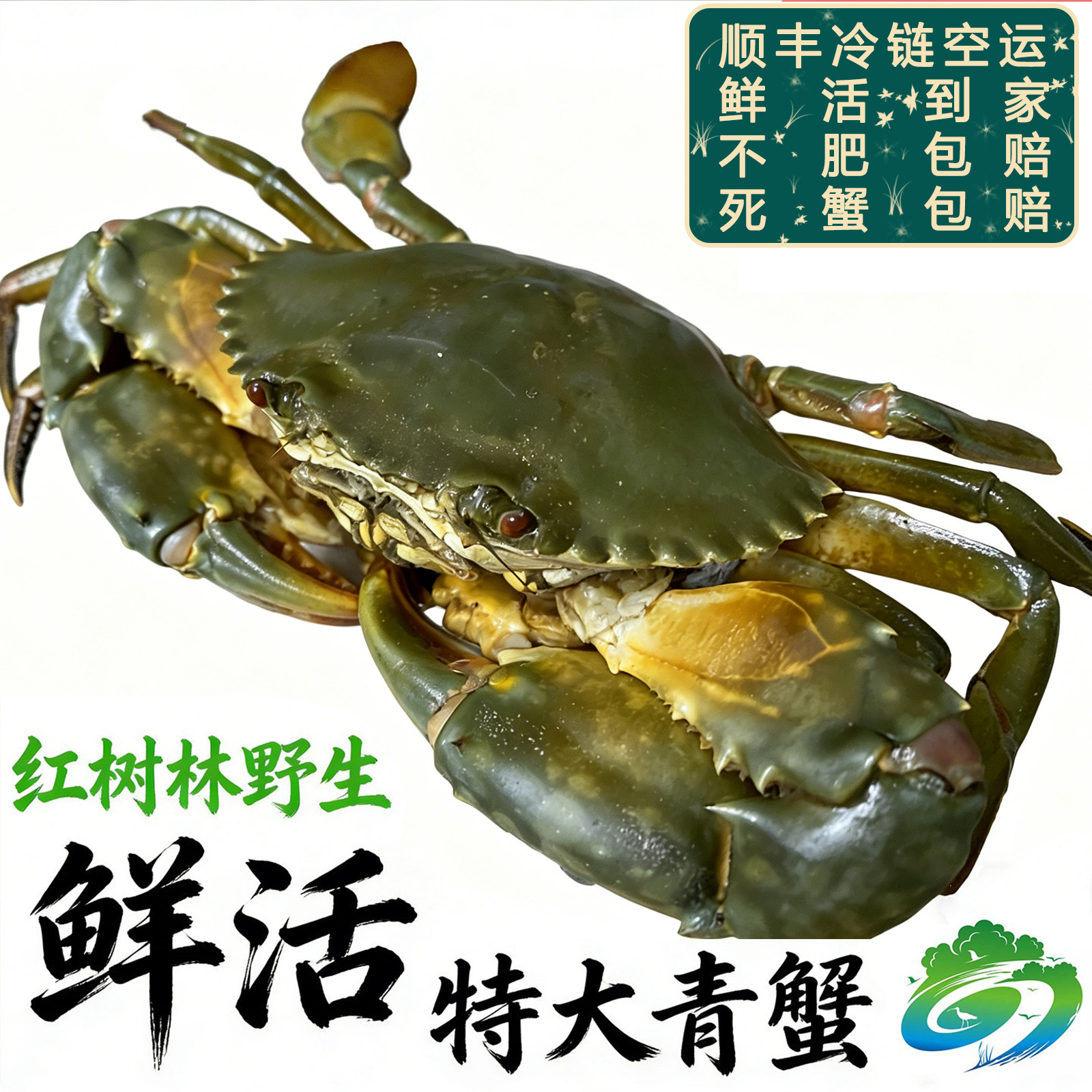 鲜活大红膏蟹肉蟹满黄顺丰送礼