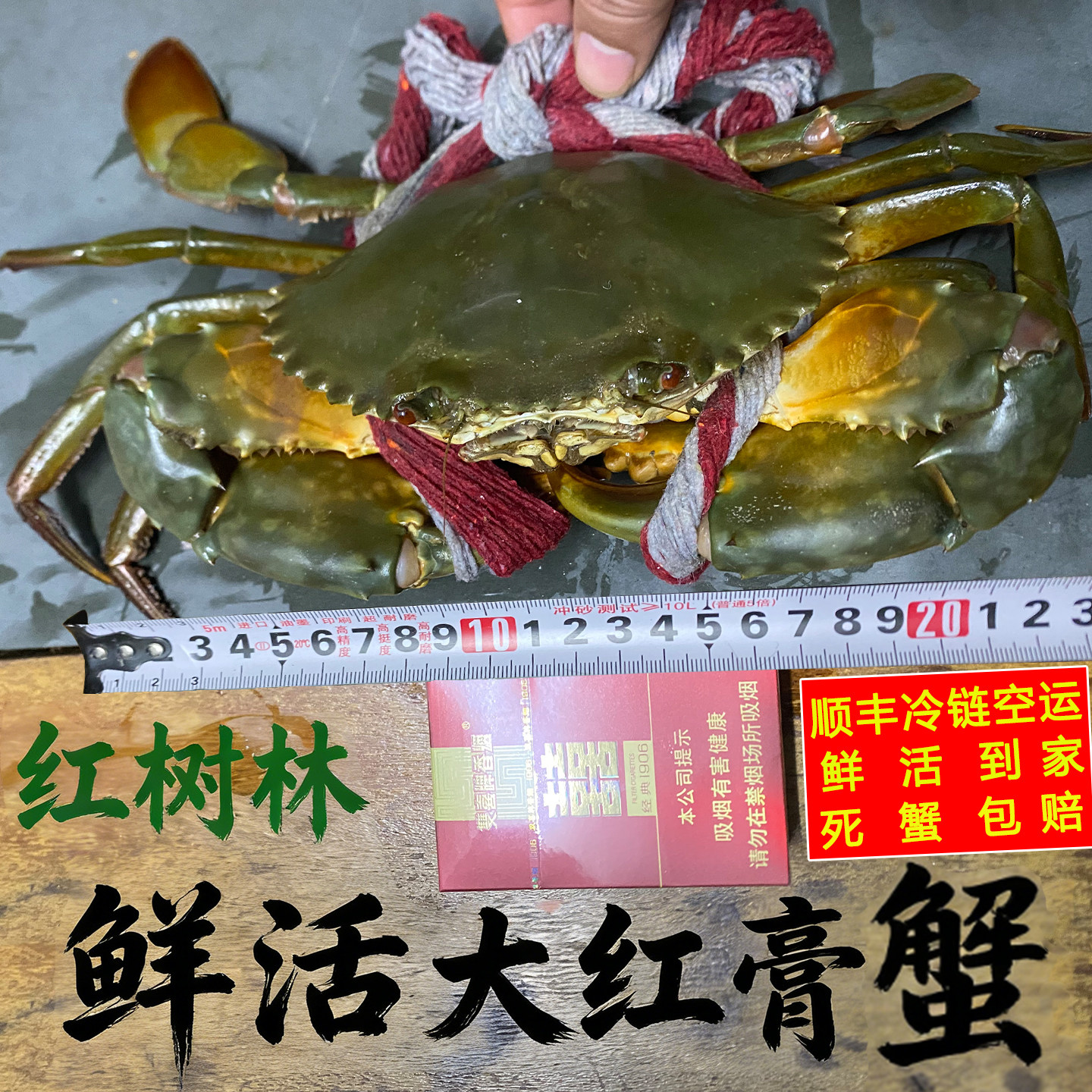 北海红树林大青蟹公蟹肉蟹海鲜蝤蛑红鲟野生海捕和乐蟹螃蟹2斤装