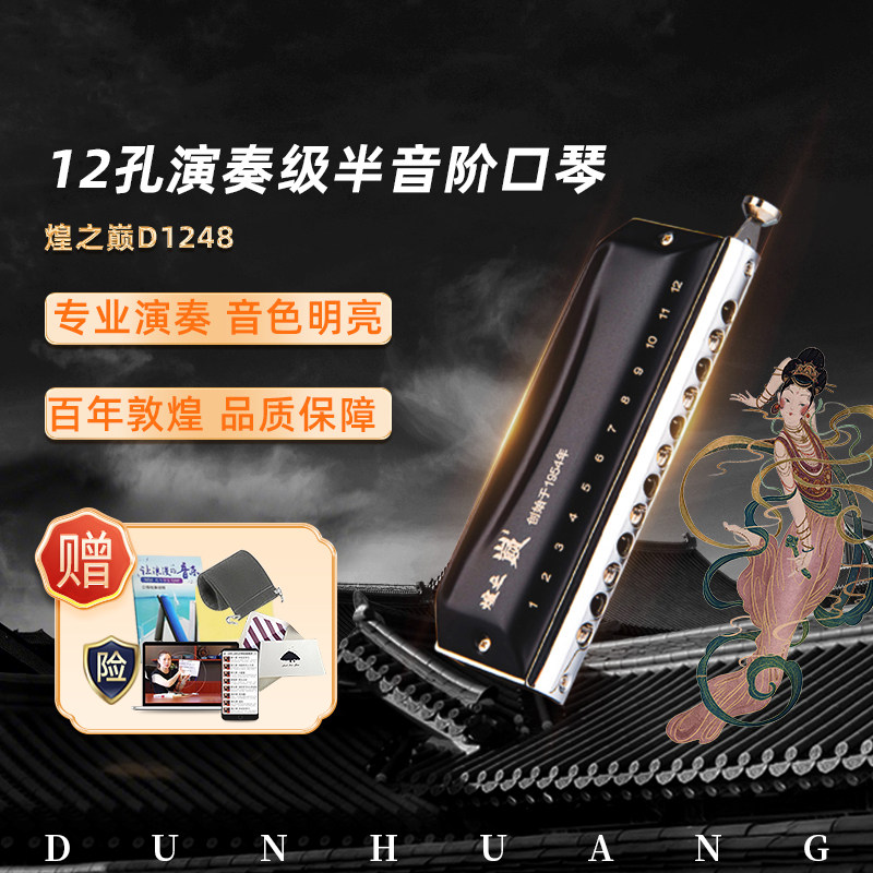 敦煌12孔半音阶口琴C调教学成人