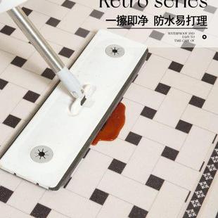 玄关进门入户门地垫地毯门口高级感可擦免洗家用高端pvc轻奢门垫