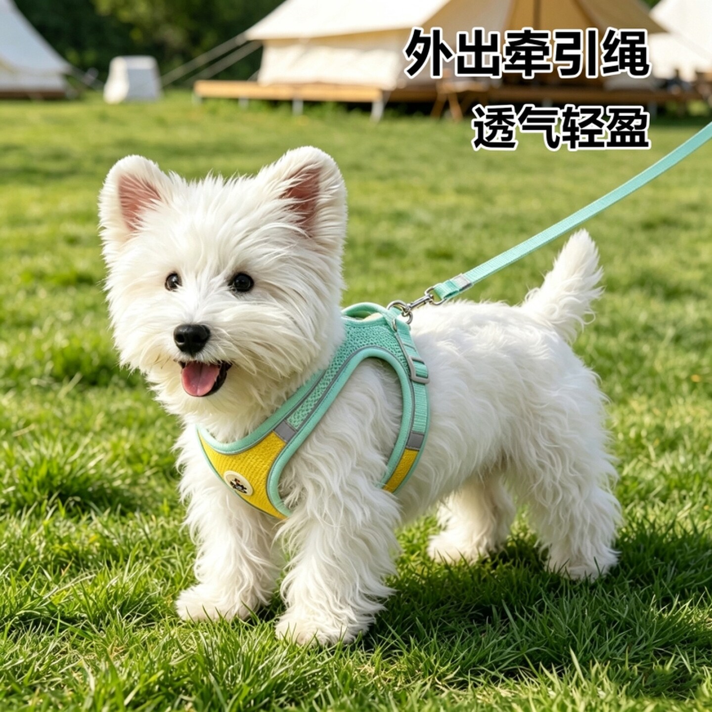 狗狗牵引绳狗狗的专用背心式小型犬背带胸背项圈溜猫绳防咬断幼犬