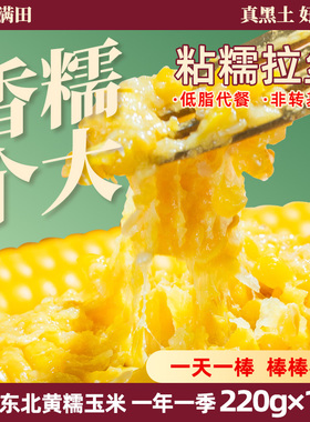 东北黄糯玉米2025新玉米真空玉米即食早餐旗舰店黏玉米粘苞米10根