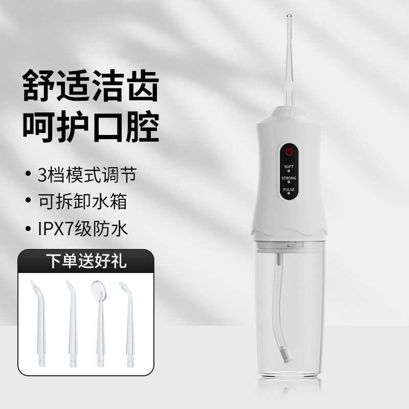 德国正品电动冲牙器家用充电牙齿