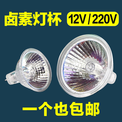 mr16MR11室内天花射灯12V20W35W50W灯杯插脚石英钨丝220V卤素灯泡