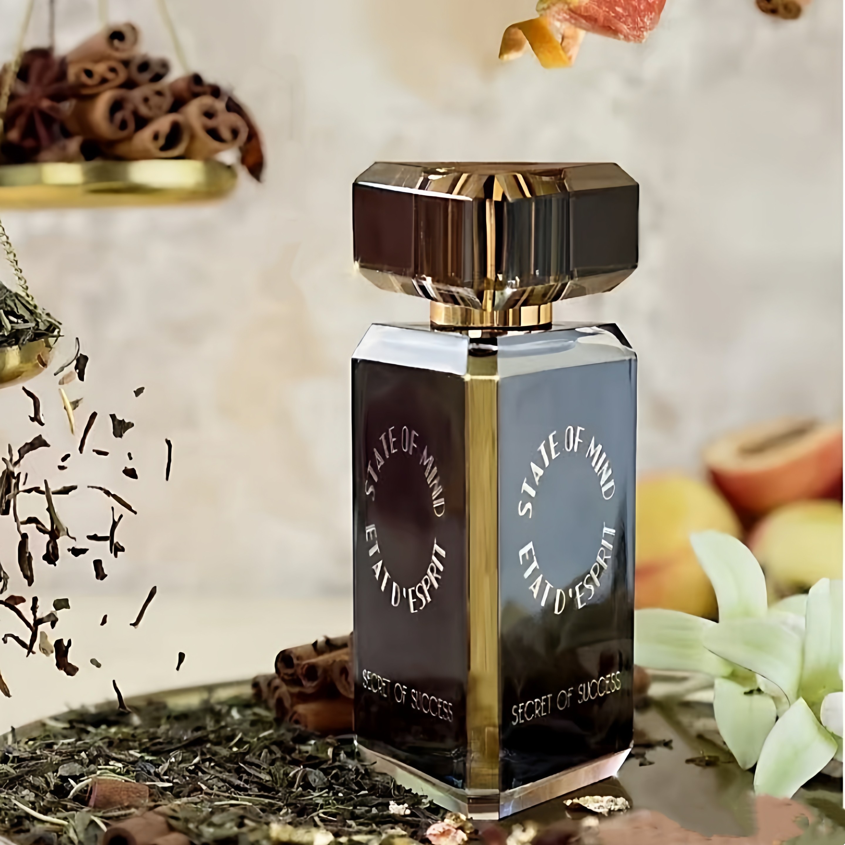 state of mind心境香水凯旋奥秘心境喧嚣时代自在雅致试香小样