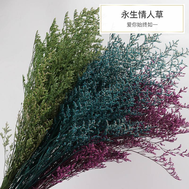 永生花情人草 云南保鲜花干花花束 圣诞节情人节礼盒花材配材