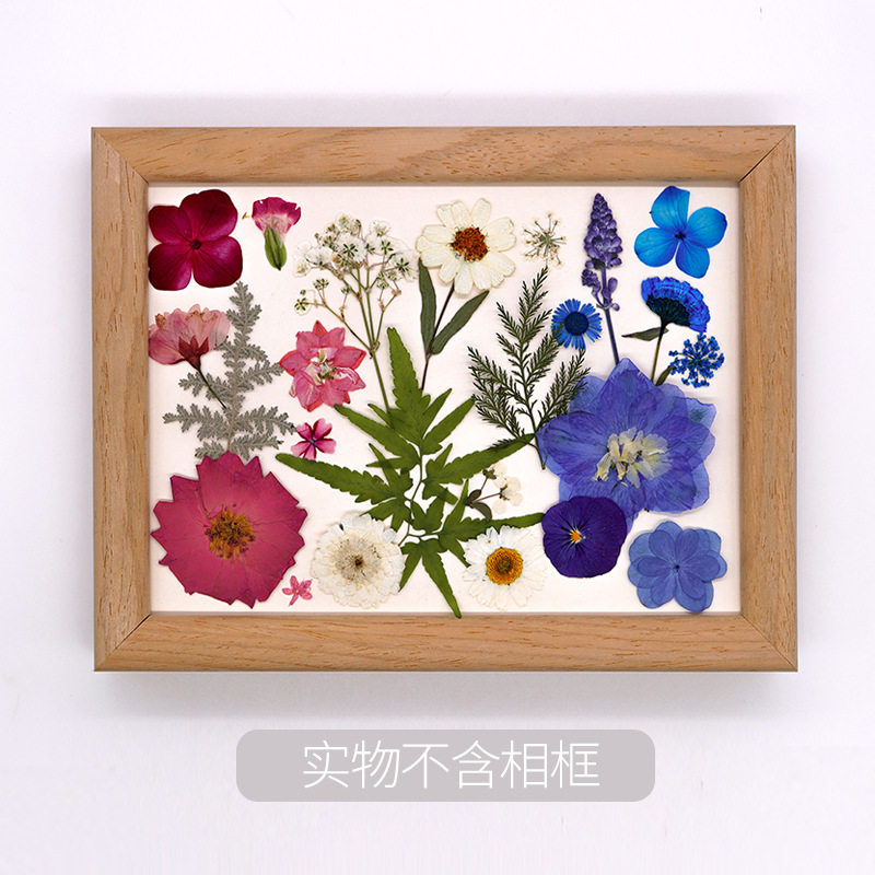 压花diy干花贴脸化妆押花材料真花压花手工滴胶相框书签材料包