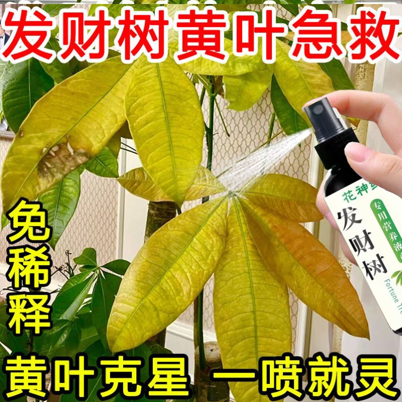 【绿叶宝】发财树专用营养液一喷绿植防黄叶烂根壮苗免稀释专用肥