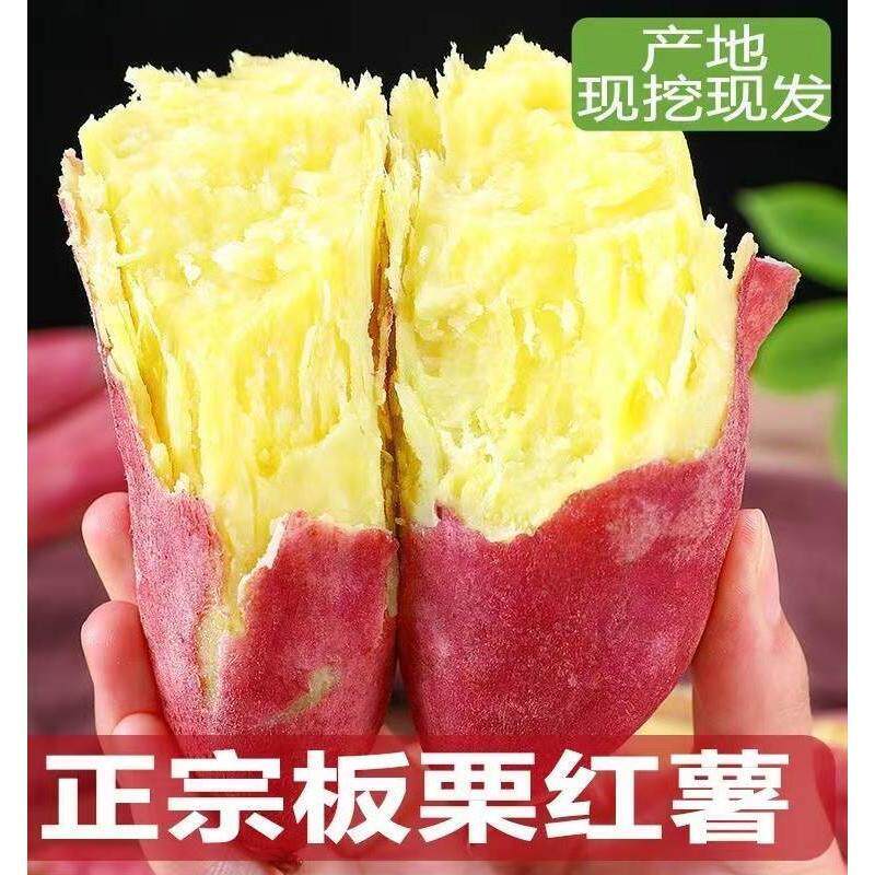 现货正宗陕西宝鸡虢王板栗红薯沙地现挖新鲜番薯农家自种小香薯地
