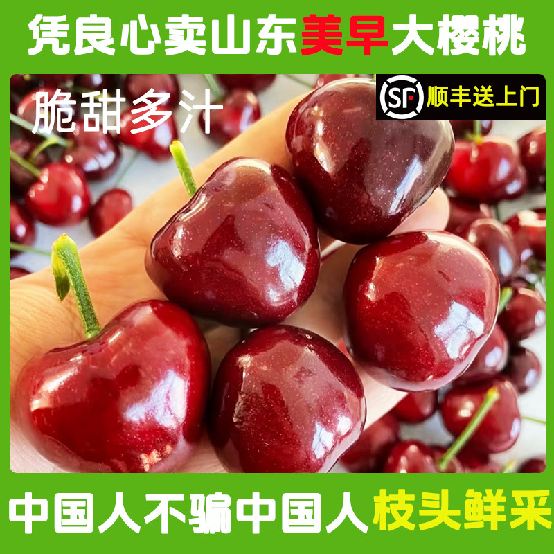 山东美早大樱桃红色脆甜樱桃黄樱桃烟台露天自然成熟红车厘子新鲜