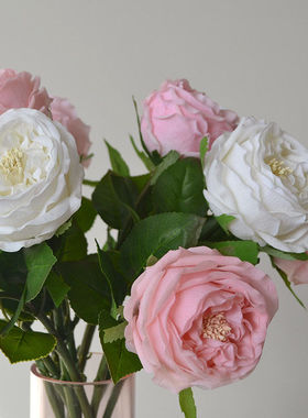 手感保湿奥斯汀玫瑰卷边逼真仿真花假花家居婚庆餐厅装饰花艺拍照