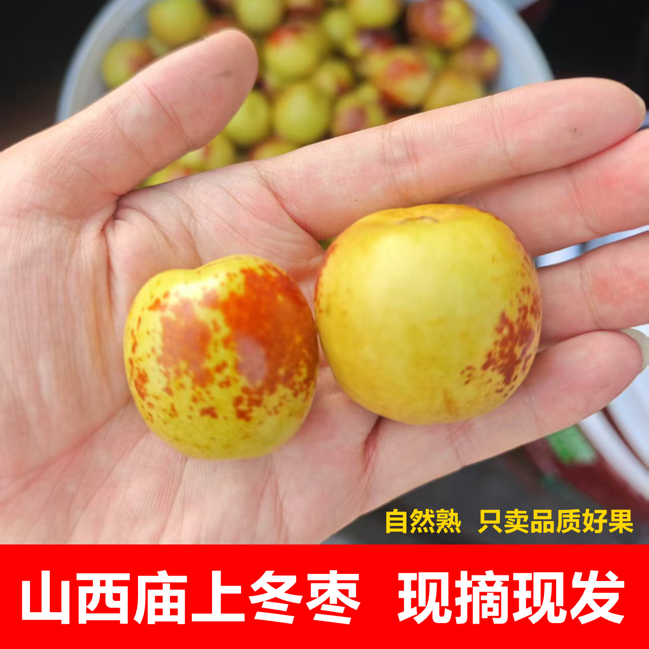 正宗山西庙上冬枣新鲜水果北方特大超甜非大荔甜枣孕妇吃的整箱脆