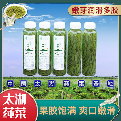 苏州太湖莼菜350g瓶装野菜PK西湖莼菜马蹄菜利川火锅凉拌烧汤家庭