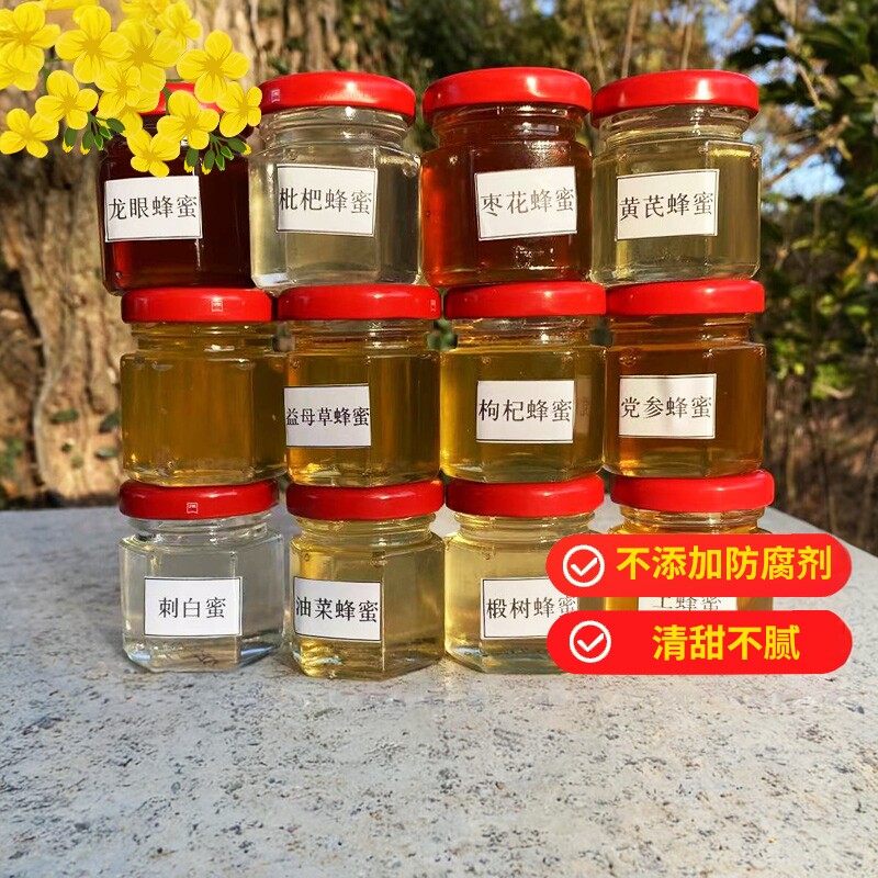 苏州纯正蜂蜜枇杷椴树刺白枸杞党参黄芪益母草蜂蜜花蜜天然清甜