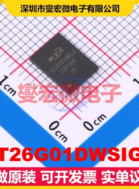 XT26G01DWSIGA WSON-8-EP(8x6) 1Gbit NAND FLASH存储器芯片IC