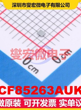 PCF85263AUKZ WLCSP-12(0.9x1.2)  I2C 实时时钟芯片