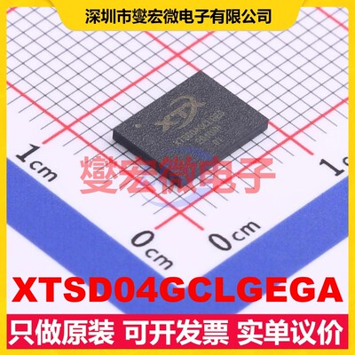 XTSD04GCLGEGA LGA-8(6x8) 4Gbit NAND FLASH存储器芯片IC