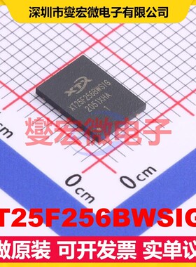 XT25F256BWSIGT WSON-8-EP(6x8) 256Mbit NOR FLASH存储器芯片IC