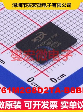 XT61M2G8D2TA-B8BEA BGA-162(8x10.5 2Gbit NAND FLASH存储器芯片