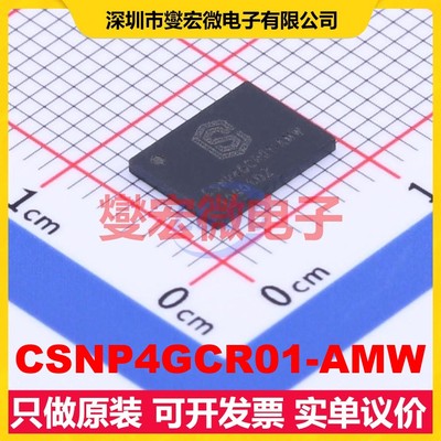 CSNP4GCR01-AMW LGA-8(6x8) 4Gbit NAND FLASH存储器