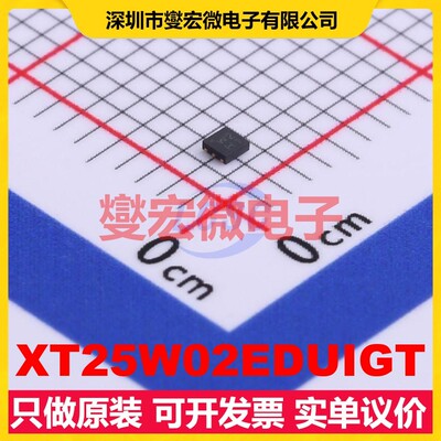 XT25W02EDUIGT DFN-6(1.2x1.2) 2Mbit NOR FLASH存储器芯片IC