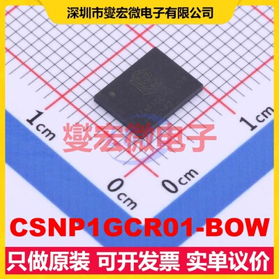 CSNP1GCR01-BOW LGA-8(6x8) 1Gbit NAND FLASH存储器芯片IC