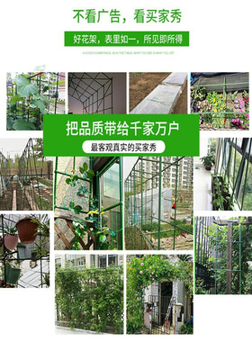 楼顶花园爬藤架庭院植物豆角黄瓜爬藤杆牵引固定包塑钢管园艺支架