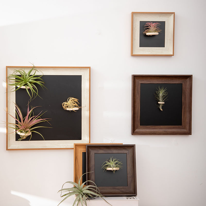 空气凤梨花盆相框专用实木圈花架配饰冰箱贴装饰磁铁石吸支架