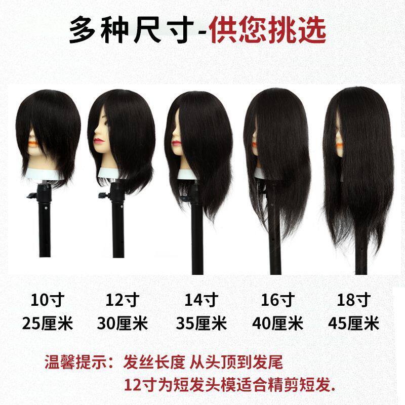 假人模型头发理发店学徒练习剪发公仔头可吹烫染造型假人模特头
