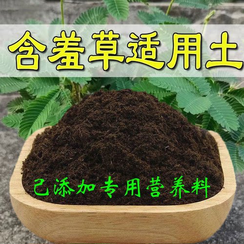 含羞草适用土营养土通用养花种绿植发酵育苗土盆栽有机肥透气疏松
