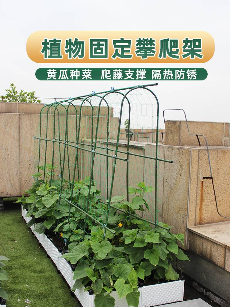 菜园植物爬藤架种四季豆豇豆黄瓜豆角芸豆丝瓜搭架子爬藤支撑架子