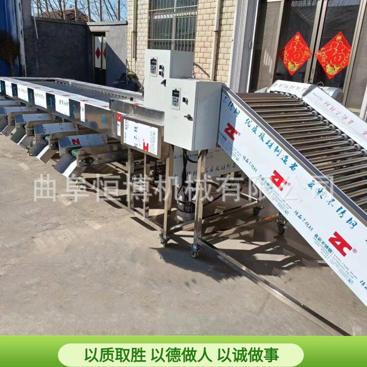 大型土豆洋葱筛选机 工业砂糖橘金桔分级机 多功能李子樱桃选果机