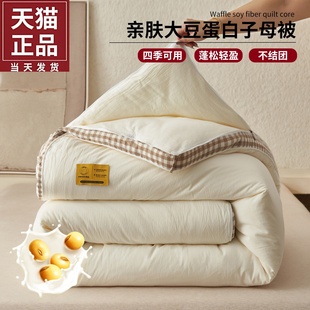 加厚保暖冬被棋盘格大豆纤维二合一子母被春秋被四季 2025新款 通用