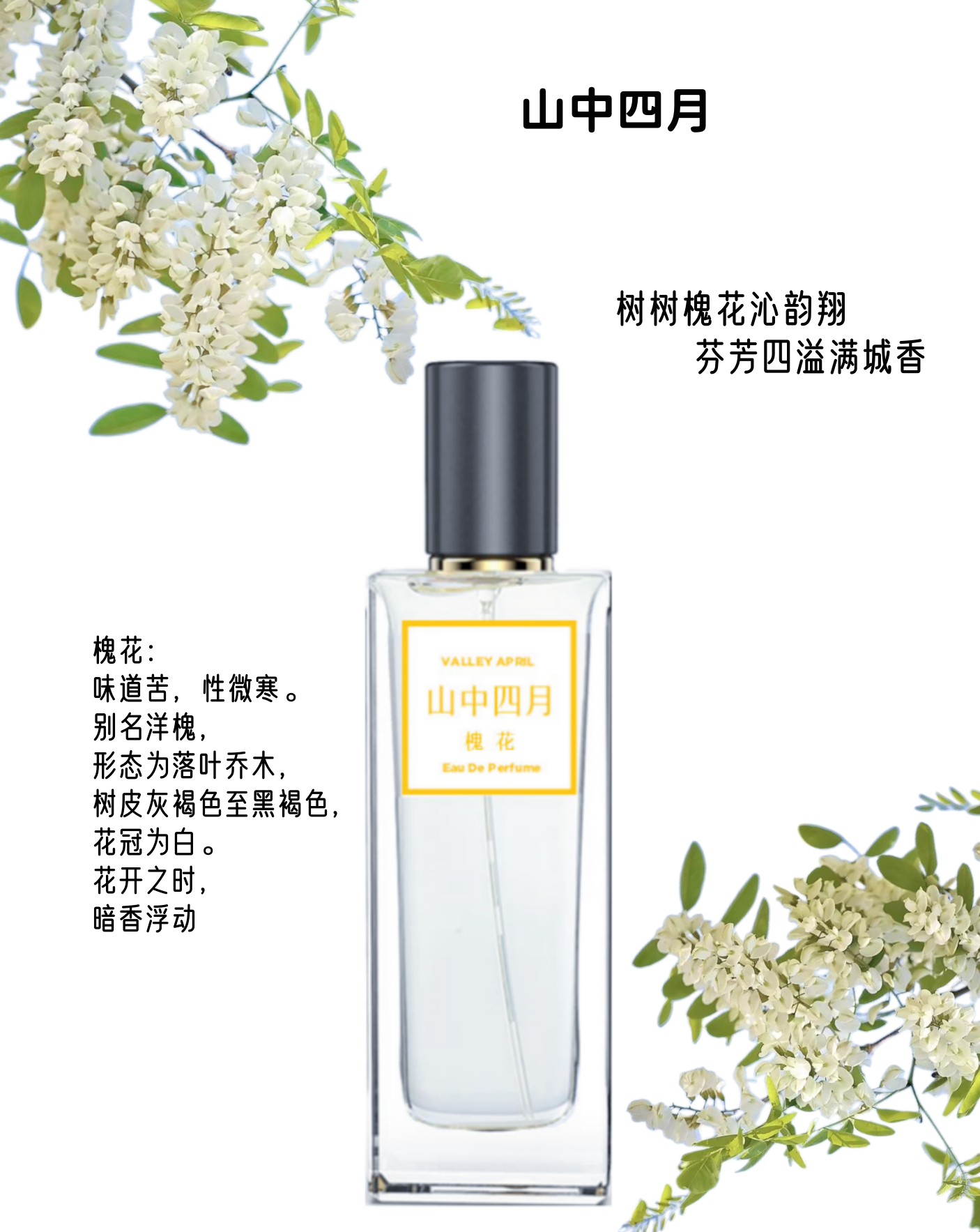 山中有四月槐花味香水香樟树花依兰花柚子白兰淡香水试香小样