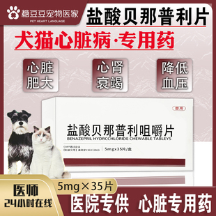 盐酸贝那普利咀嚼片宠物狗狗猫咪慢性肾衰心肥厚性心脏病降压药F5