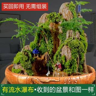 吸水奇石假山盆景小摆件上水石植物石头原天然室内山水流水版造景