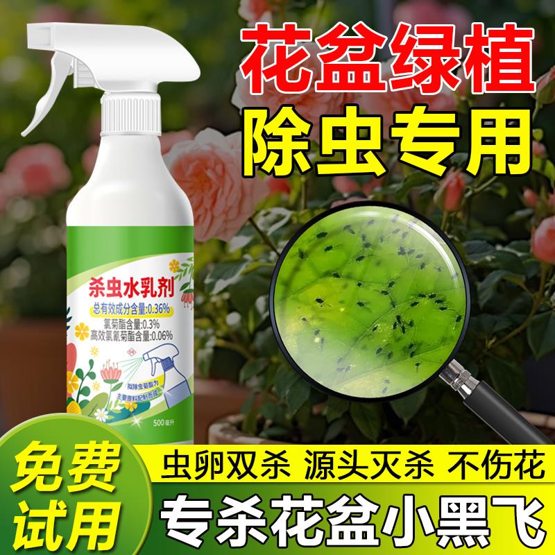 花卉杀虫剂室内花盆绿植通用灭杀小黑飞蚜虫红蜘蛛专用除杀虫药剂