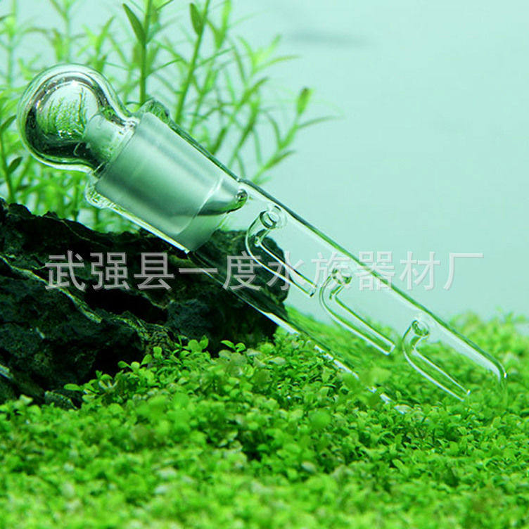 水族涡虫捕捉器草缸涡虫诱捕器玻璃捕捉器窝虫和蝦子共生相互捕捉,宠物/宠物食品及用品,其它水族用具设备,淘宝优惠券,粉丝福利购,淘宝优惠卷